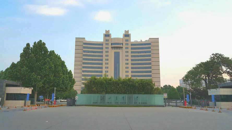 《手机里的保定》之二 一组照片在网络上引起的涟漪
